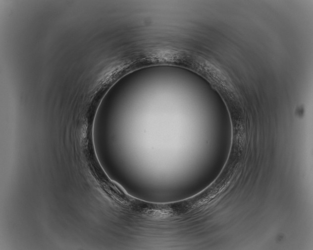 X0000095940548200801181403