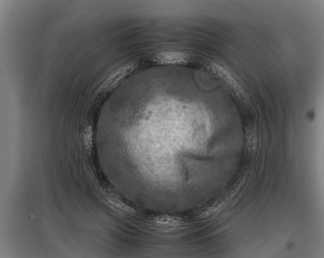 X0000095940549200801181403