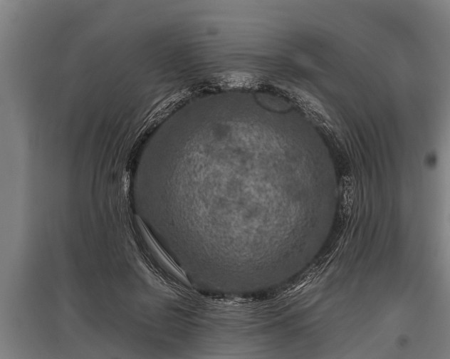 X0000095940550200801181403