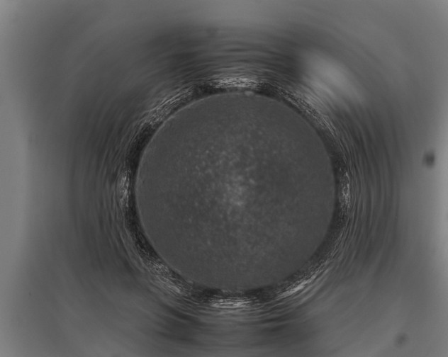 X0000095940551200801181403