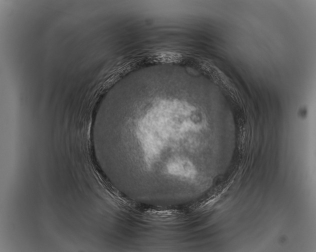 X0000095940553200801181403