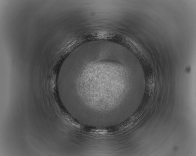 X0000095940554200801181403