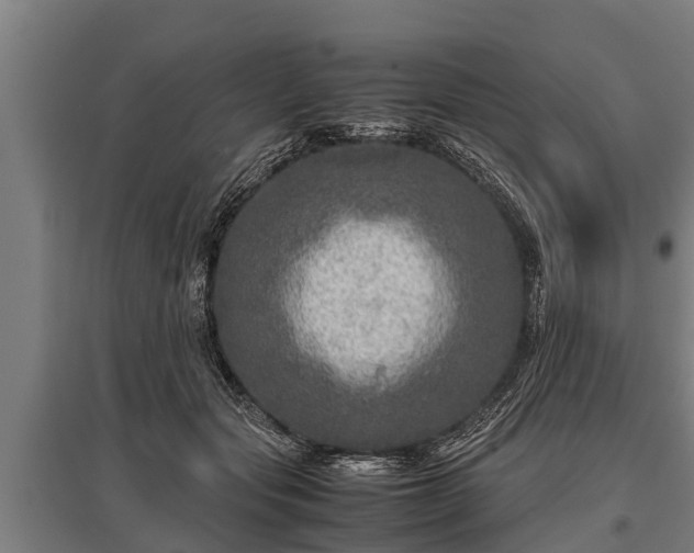 X0000095940557200801181403