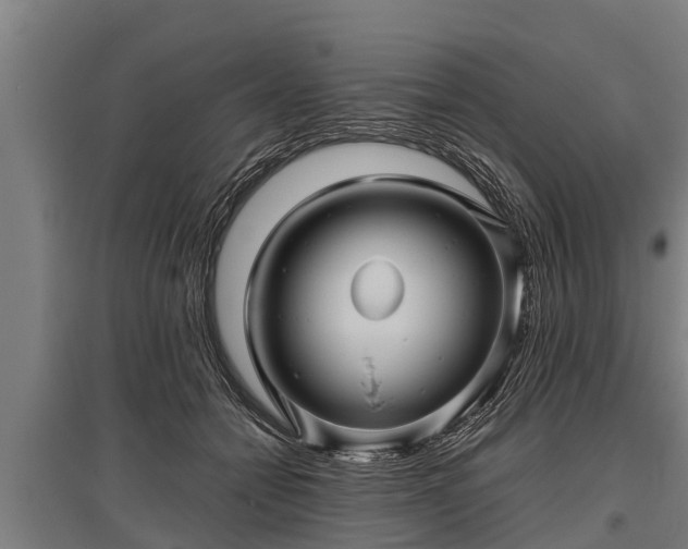 X0000095940558200801181403