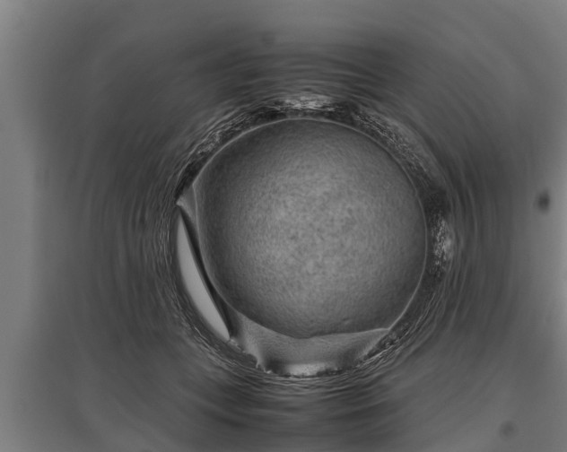 X0000095940559200801181403