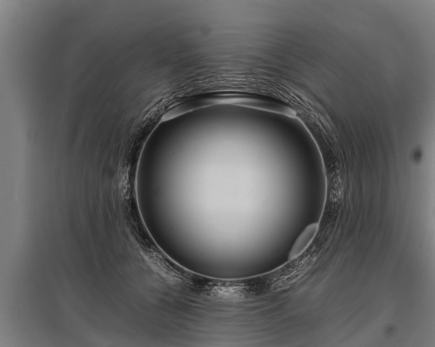X0000095940560200801181403