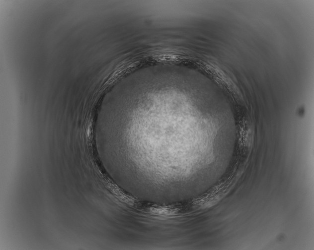 X0000095940561200801181403