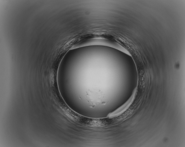 X0000095940562200801181403