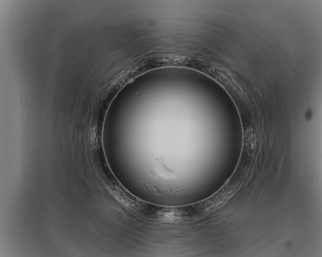 X0000095940564200801181403