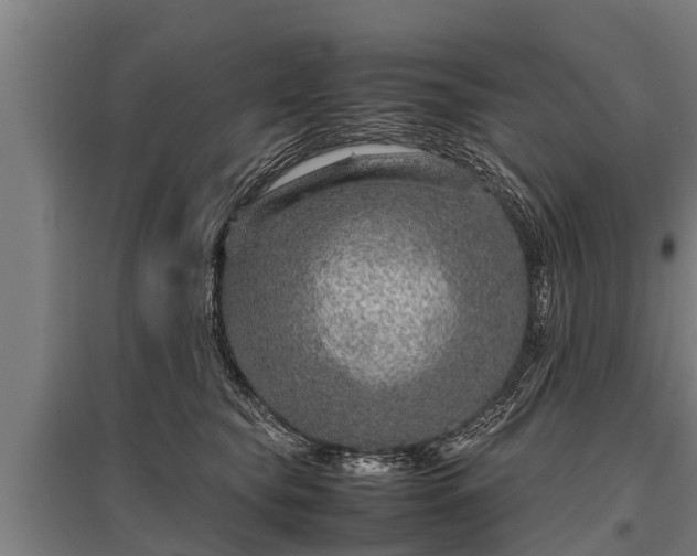 X0000095940565200801181403