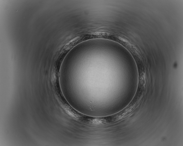 X0000095940566200801181403