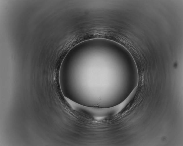 X0000095940567200801181403