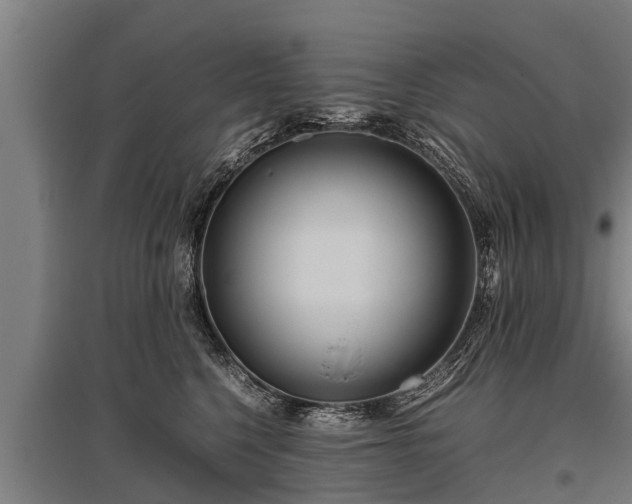 X0000095940568200801181403