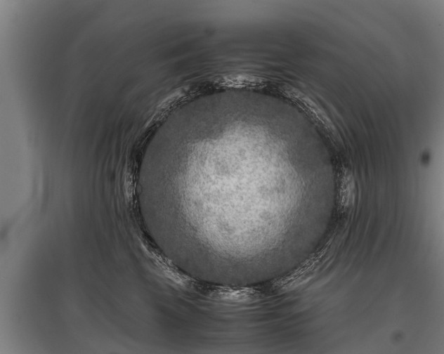 X0000095940569200801181403