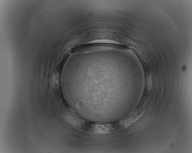 X0000095940571200801181403