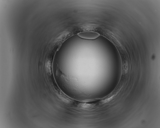 X0000095940575200801181403