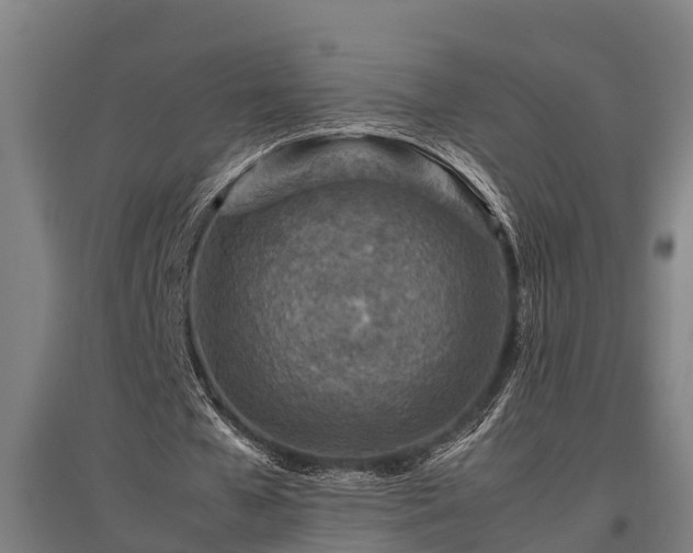 X0000095940577200801181403