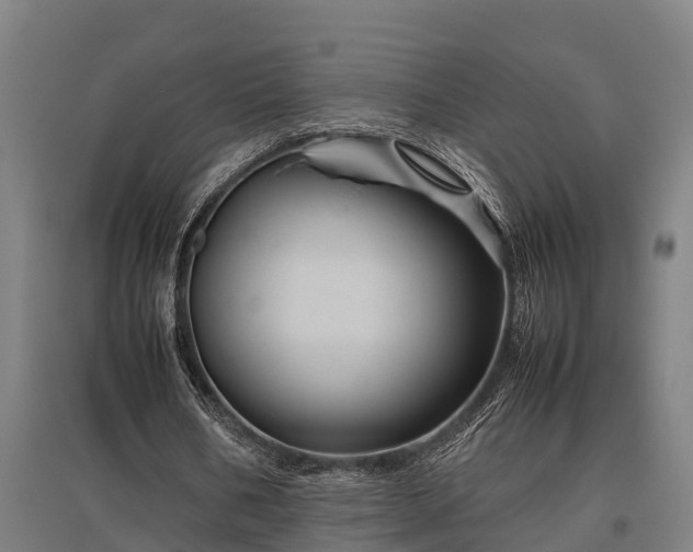 X0000095940578200801181403