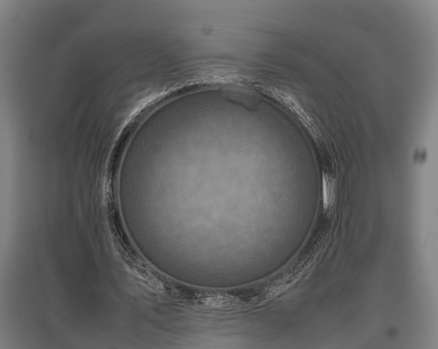 X0000095940579200801181403