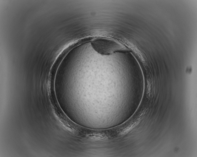 X0000095940580200801181403