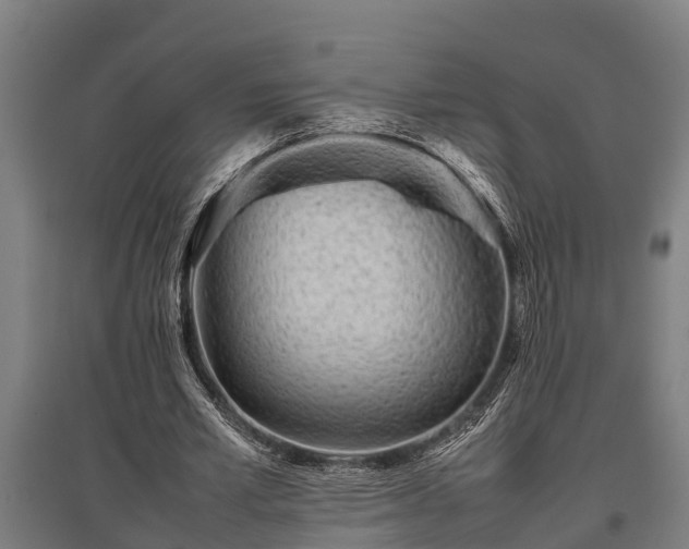 X0000095940581200801181403