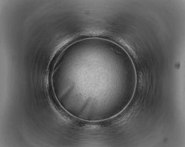 X0000095940582200801181403