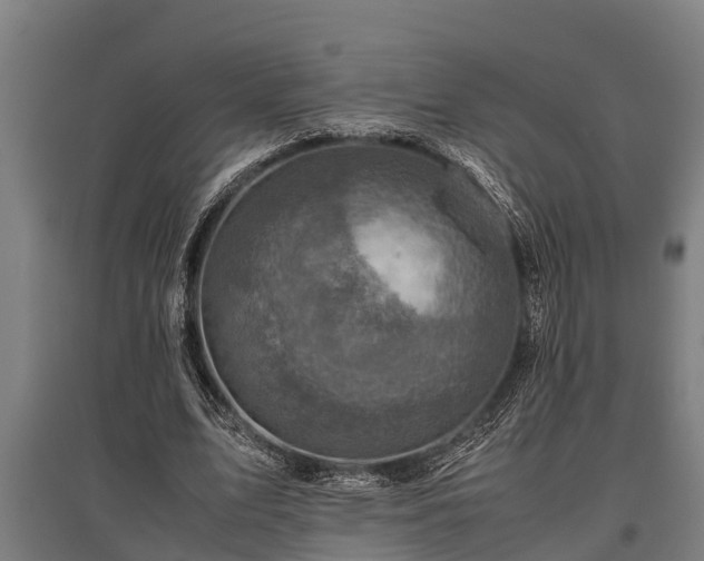 X0000095940583200801181403
