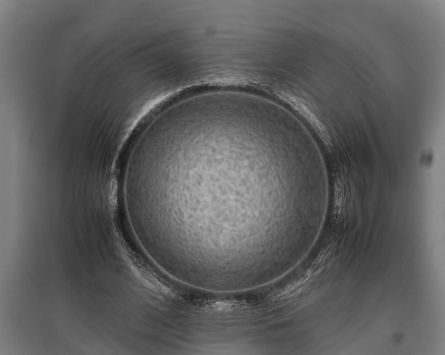 X0000095940584200801181403