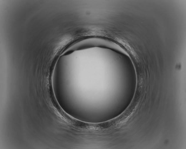 X0000095940585200801181403