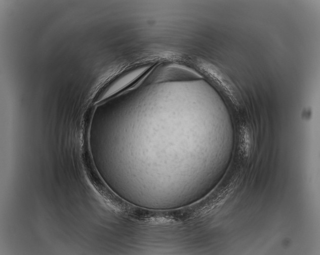 X0000095940586200801181403