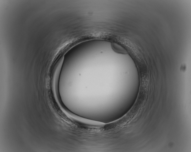 X0000095940587200801181403