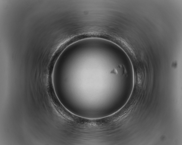 X0000095940588200801181403