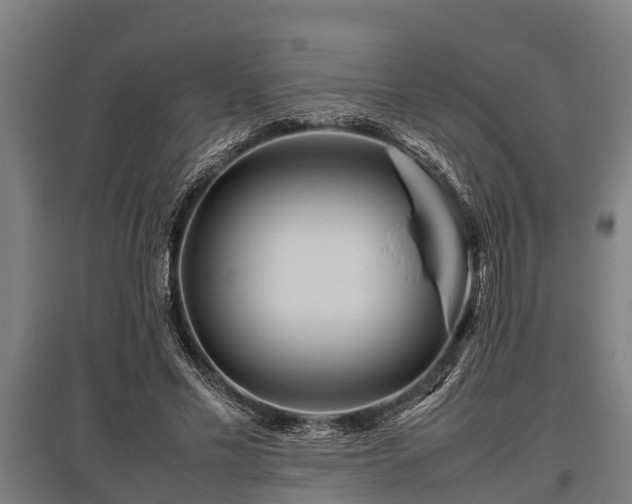 X0000095940589200801181402