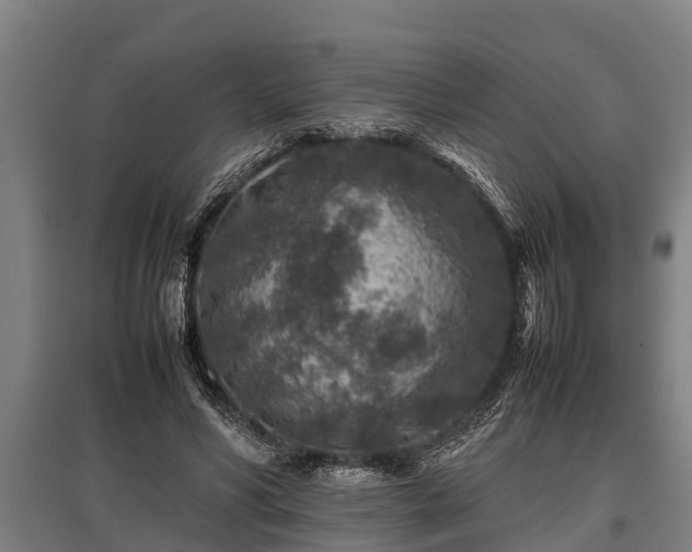 X0000095940590200801181402