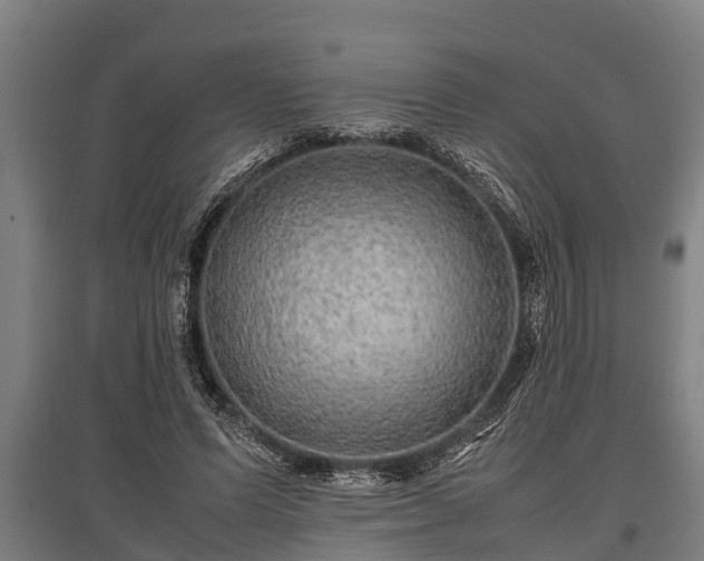 X0000095940591200801181402