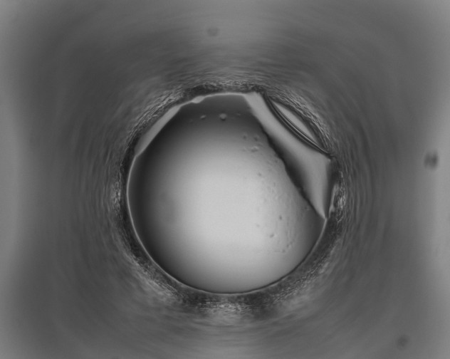 X0000095940593200801181402