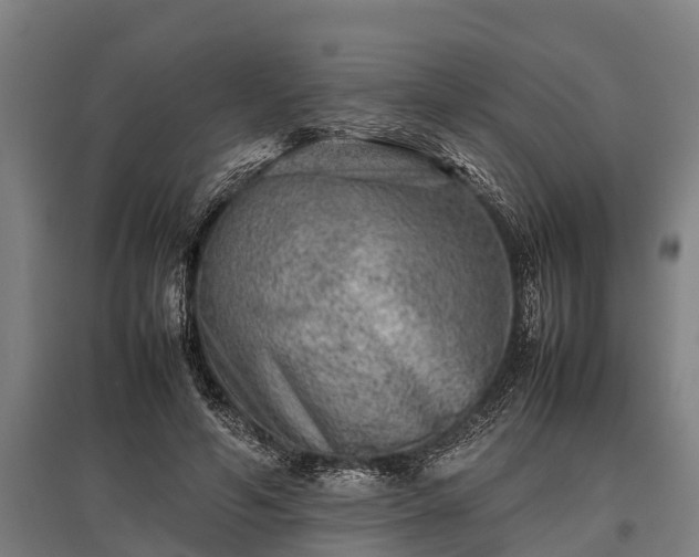 X0000095940594200801181402