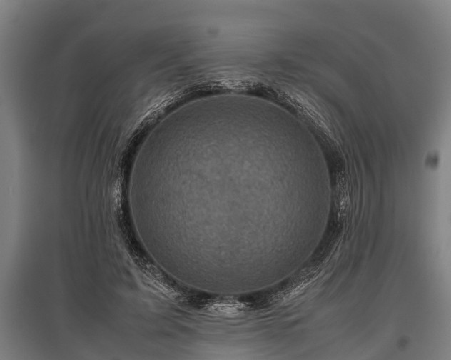 X0000095940595200801181402