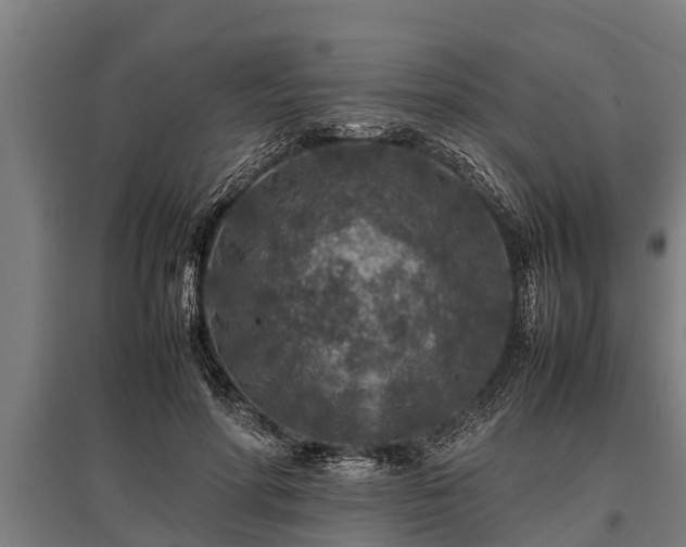 X0000095940598200801181402