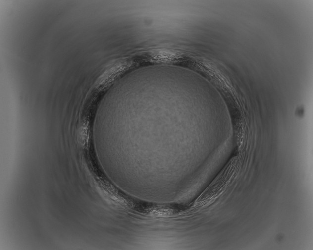 X0000095940599200801181402