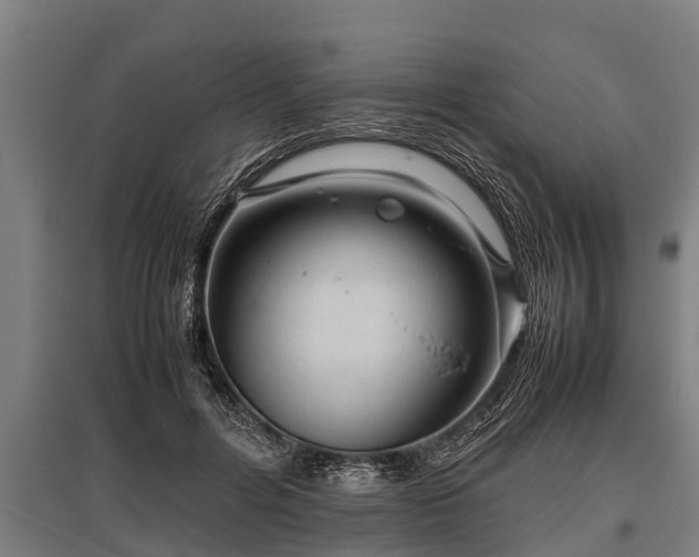 X0000095940600200801181402