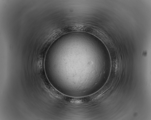 X0000095940602200801181402