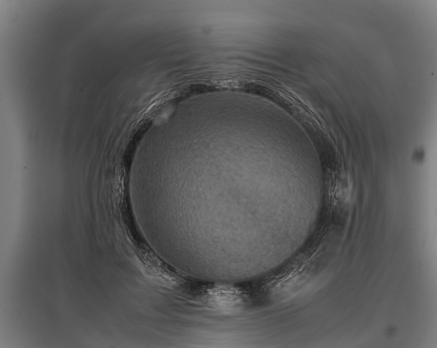 X0000095940603200801181402
