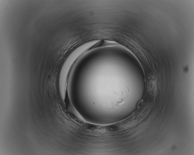 X0000095940604200801181402