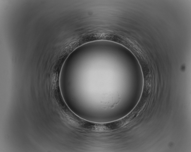 X0000095940605200801181402
