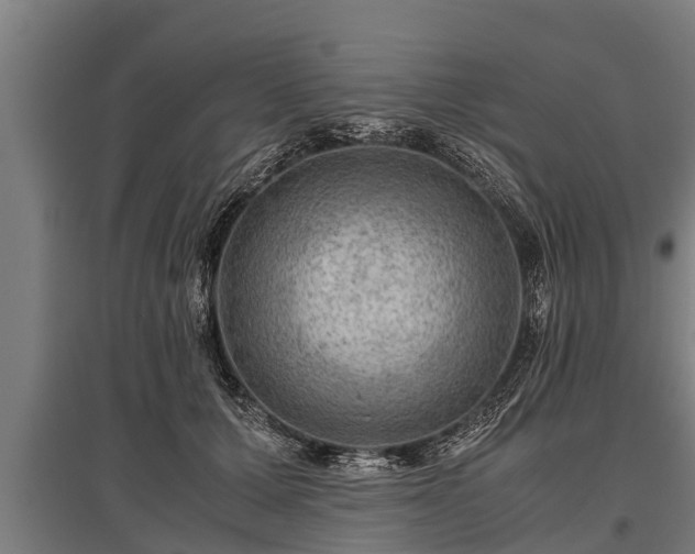 X0000095940607200801181402