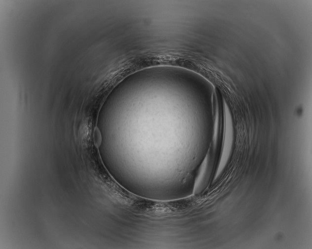 X0000095940608200801181402