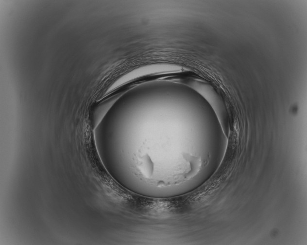 X0000095940609200801181402