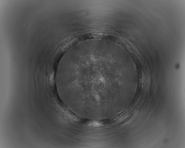 X0000095940610200801181402