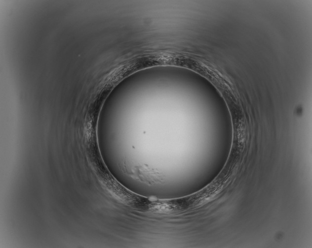 X0000095940611200801181402